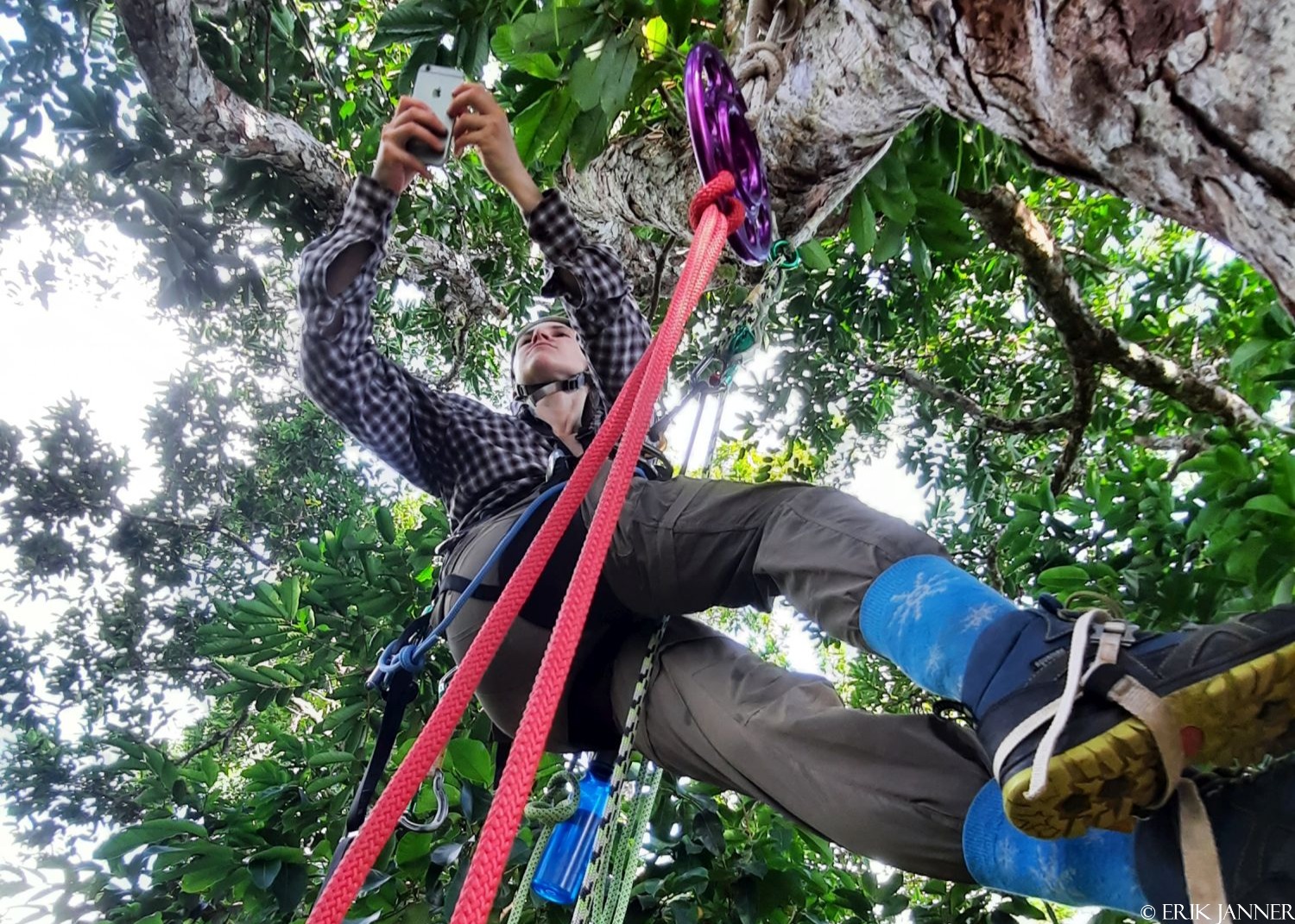 Tretklatring / adkomst til trekroner