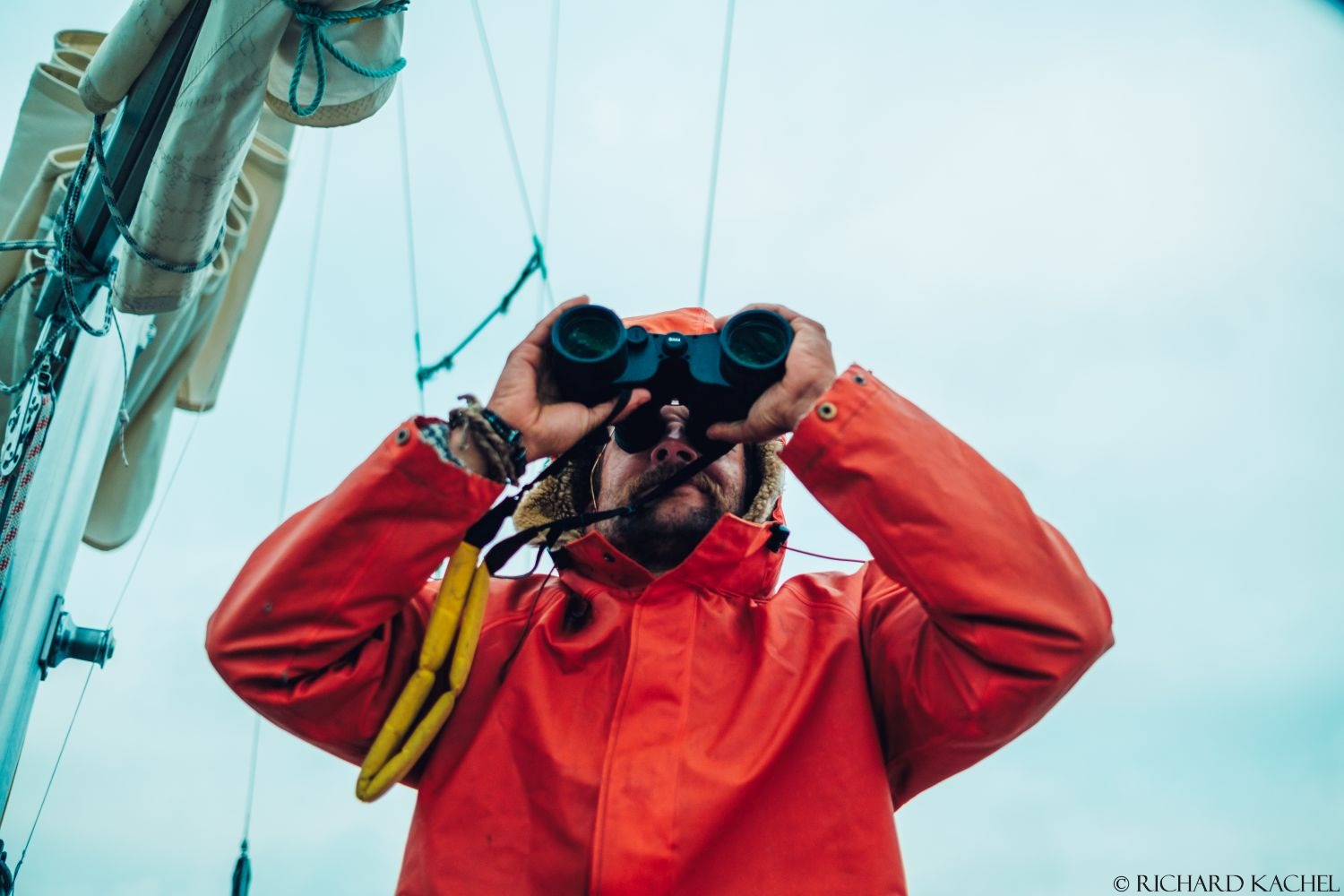 Kartlegging og observasjoner