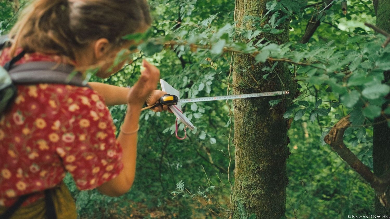 Datainnsamling og analyse