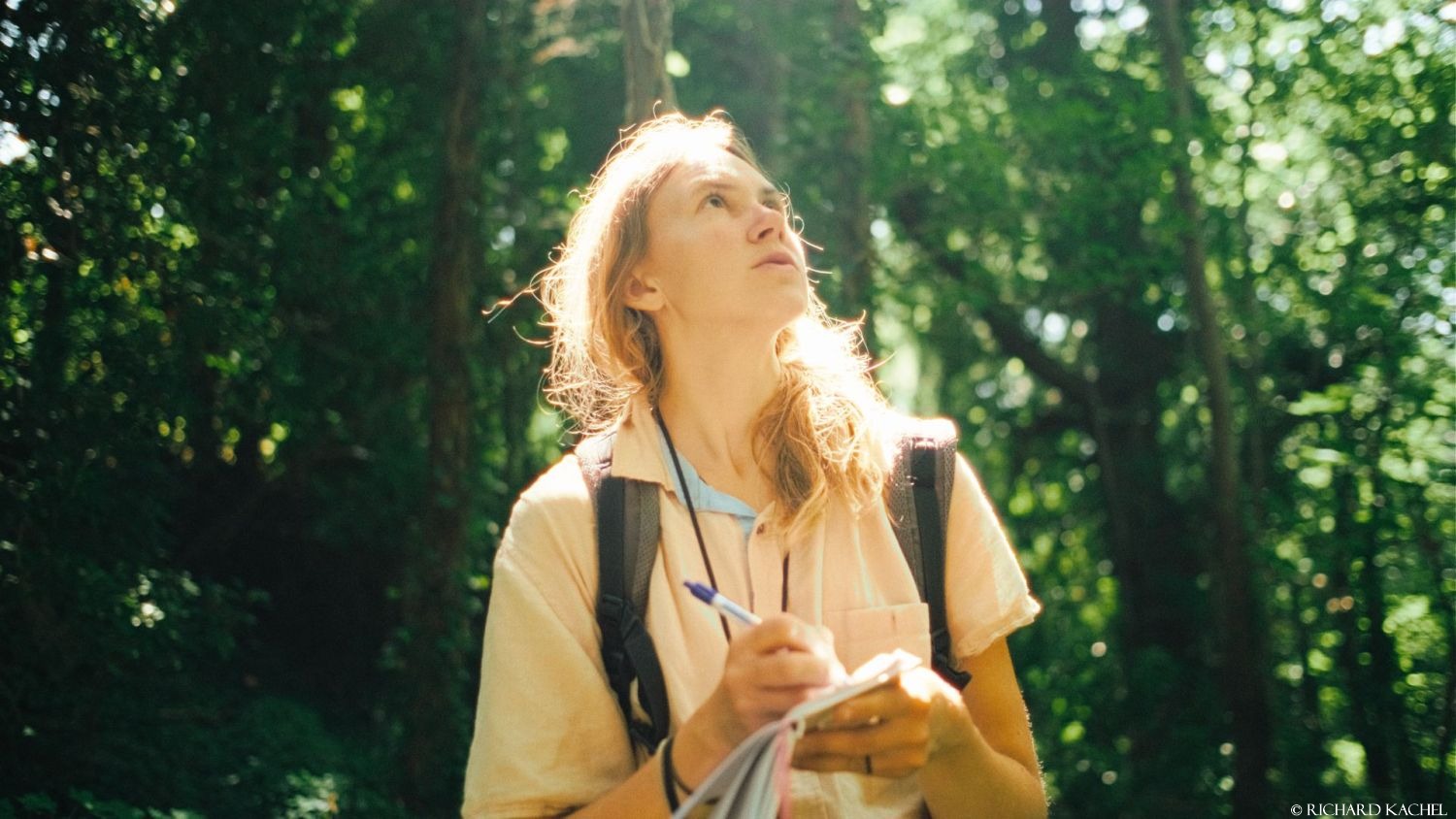 Skriving og publisering