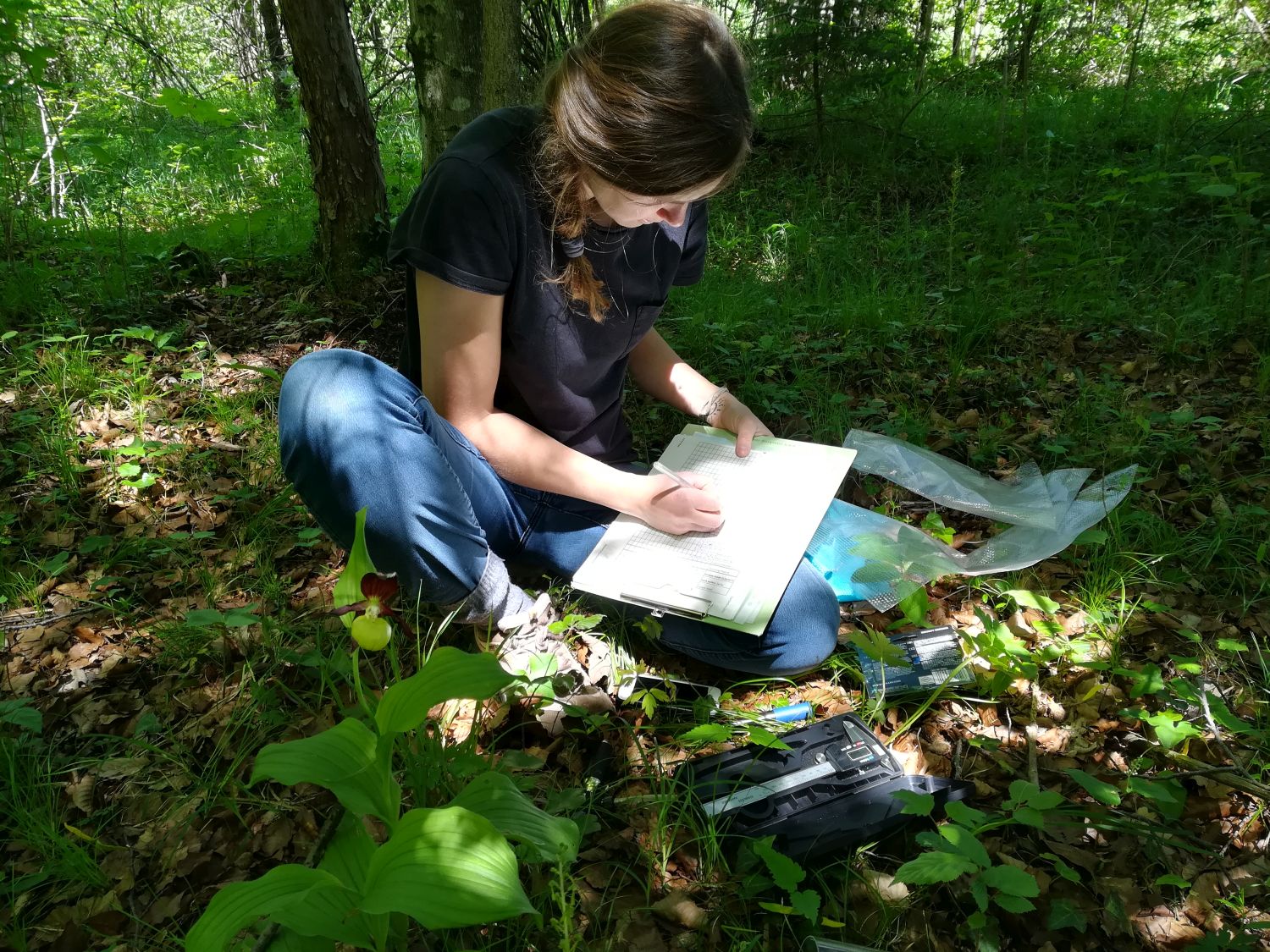 Utvikling av forskningsnettsteder og apper